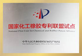 國家化工橡膠專利聯(lián)盟試點(diǎn)